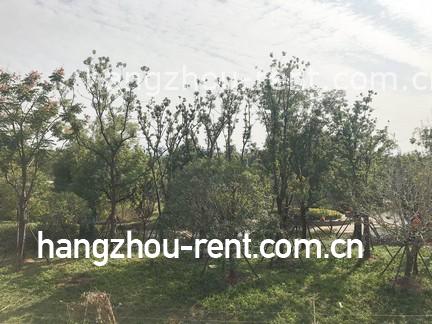 Hangzhou_Rent_Apartment_House_Serviced_Apartment-Xiwang09